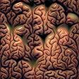 brain ec 16x16px 7x7map