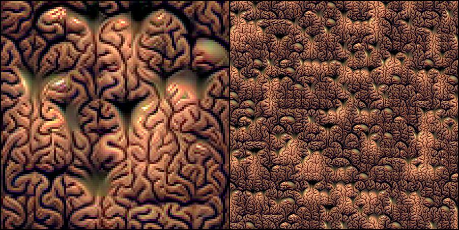 brain preview