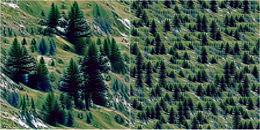 fir trees preview